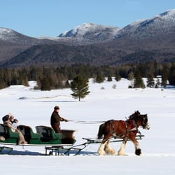Lake Placid Sleigh Rides & Horse Rescue
