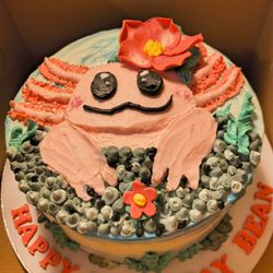 Breezes Delight - A gluten free axolotl cake
