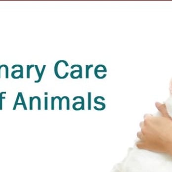 Companion Animal Hospital Veterinarians 2010 Denison St Denton Tx Phone Number