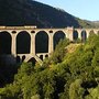Photo of Train Jaune