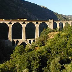 Train Jaune
