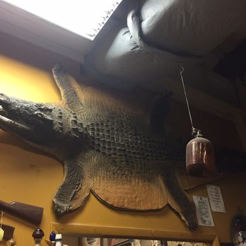 Audrey's Place - Alligator - Antiques Near Me - Indianapolis, Indiana