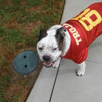 PetSmart - Tank is a Trojan Fan - Pet Stores Near Me - Cerritos, California PetSmart - Tank is a Trojan Fan - Pet Stores Near Me - Cerritos, California