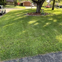 Z&M Lawncare