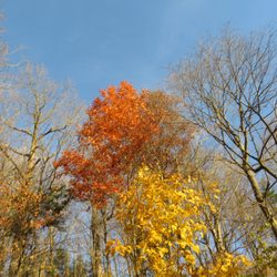 E.T. Seton Park
