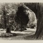 Photo of Alter Friedhof