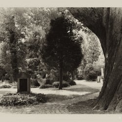 Alter Friedhof - beschützt .....................