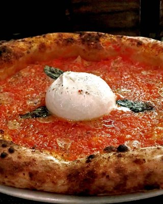 figidini by null