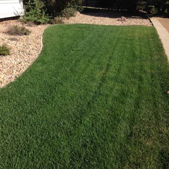 Happy Roots - AFTER Happy Roots' Fertilizer Plan, Mowing & Watering Advice - Irrigation Near Me - Henderson, Colorado Happy Roots - AFTER Happy Roots' Fertilizer Plan, Mowing & Watering Advice - Irrigation Near Me - Henderson, Colorado