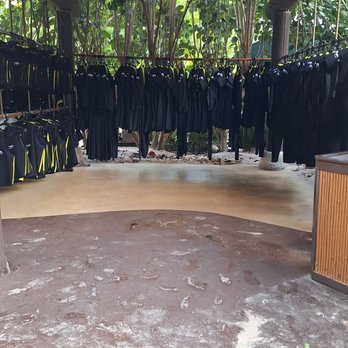 Discovery Cove - Amusement Parks Near Me - Orlando, Florida Discovery Cove - Amusement Parks Near Me - Orlando, Florida