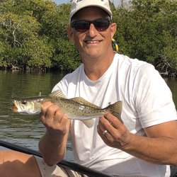 Kayak Charters
