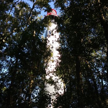 St. Augustine Lighthouse & Maritime Museum - Trails behind the lighthouse give a different perspective - Museums Near Me - Saint Augustine, Florida