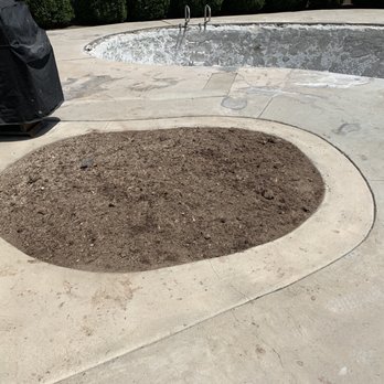 Ed's Tree Service - After - Tree Services Near Me