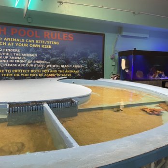 Seaport Aquarium - Aquariums Near Me - Wildwood, New Jersey Seaport Aquarium - Aquariums Near Me - Wildwood, New Jersey