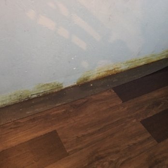 Zu Izakaya - The flooring directly behind my seat. - Asian Fusion Near Me - Tempe, Arizona
