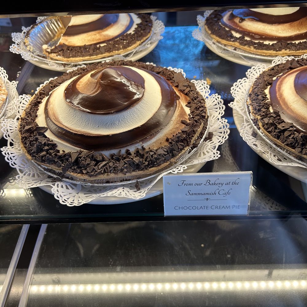 Chocolate Cream Pie Chocolate Cream Pie