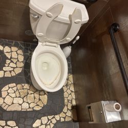 Noodles and Company - Absolutely disgusting