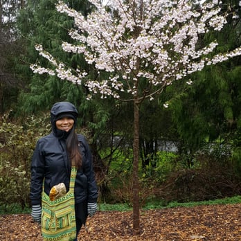 Washington Park Arboretum - Parks Near Me - Seattle, Washington Washington Park Arboretum - Parks Near Me - Seattle, Washington