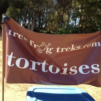 Tree Frog Treks - Kids are divided into groups by age... - Community Service/Non-Profit Near Me - San Francisco, California Tree Frog Treks - Kids are divided into groups by age... - Community Service/Non-Profit Near Me - San Francisco, California