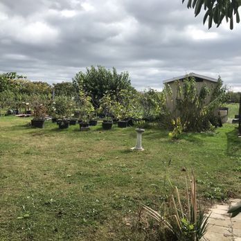 Grimo Nut Nursery - Nut tree seedlings - Nurseries & Gardening Near Me - Niagara On the Lake, Ontario
