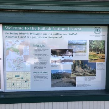 Kaibab National Forest - Hiking Near Me - Williams, Arizona