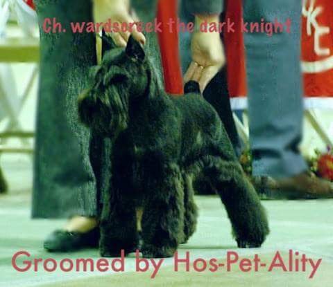 Hospetality Inn - pet boarding facility in Leesburg, OH
