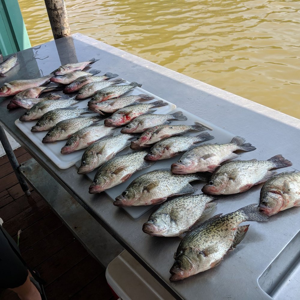BigCrappie - Fishing Near Me - Mabank, Texas BigCrappie - Fishing Near Me - Mabank, Texas