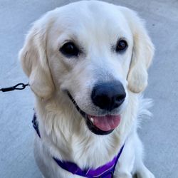 Battier's Veterinary Clinic - Happy place, living her best life !
