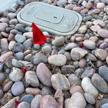 MGR Property Management - missing plant, empty hole next to the driveway - Property Management Near Me - Ontario, California MGR Property Management - missing plant, empty hole next to the driveway - Property Management Near Me - Ontario, California
