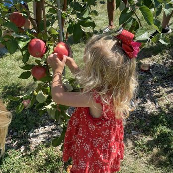 Picnic Hill Orchard - U-pick - Pick Your Own Farms Near Me - Lincoln, Nebraska Picnic Hill Orchard - U-pick - Pick Your Own Farms Near Me - Lincoln, Nebraska