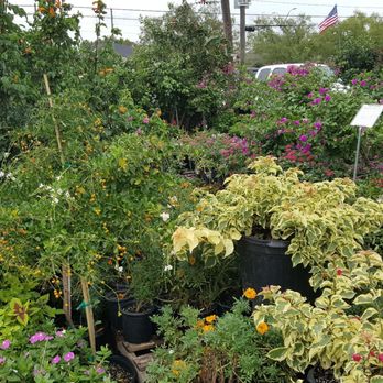 JRN Nursery 2 - Nurseries & Gardening Near Me - Houston, Texas