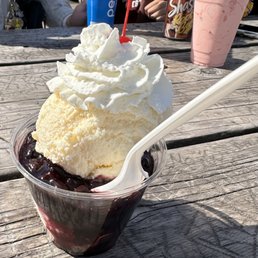 Blueberry Sundae and Strawberry Shake