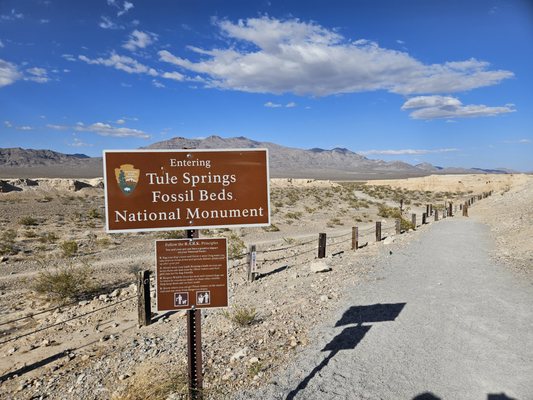 Tule Springs Fossil Beds National Monument by null