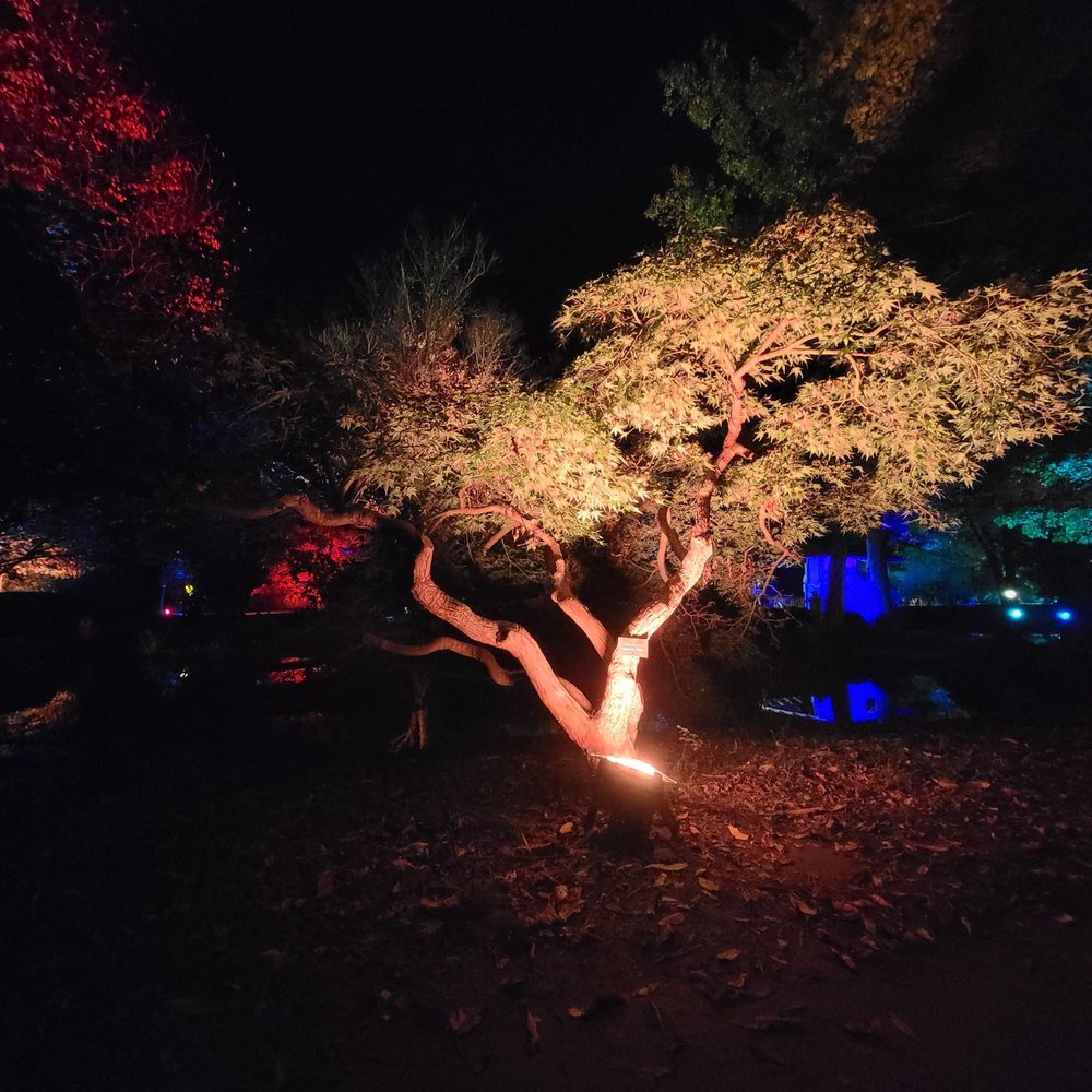 Maymont - Garden Glow 2021 - Parks Near Me - Richmond, Virginia