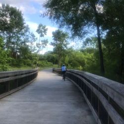 Marsh Park - Bridge pass