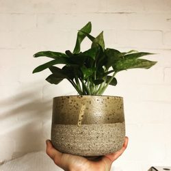 Shelley Panton - Handcrafted planter by Shelley Panton