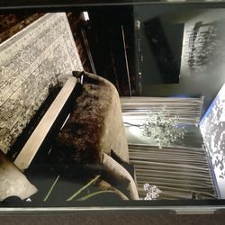 Choice Custom Painting - From white to moody dark