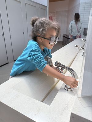 Presidio Tunnel Tops by null