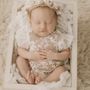 Photo of Andrea Rodger Photography
