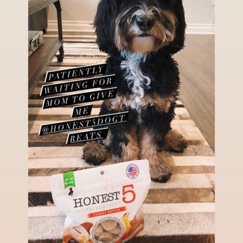 Honest5 - Pet Stores Near Me - Salisbury, Maryland