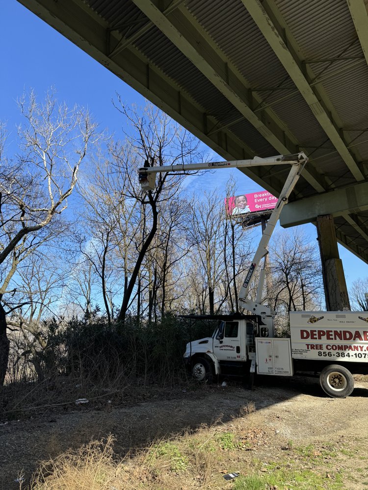 Dependable Land Maintenance - tree service in West Deptford, NJ