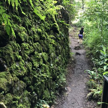 Makiki Valley Trail - Hiking Near Me - Honolulu, Hawaii