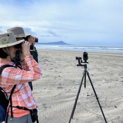 MexGeo Tours - Birding is one of the best ways to relax and unerstand nature