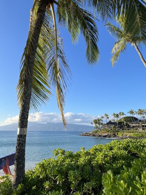 The Mauian Hotel by null