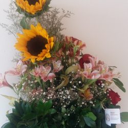 El Jardín de Paula - Hermosos arreglos a precios justos