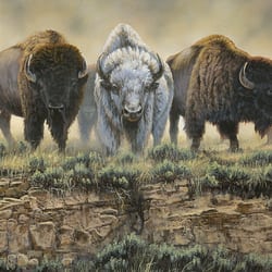 Kelley Fine Art