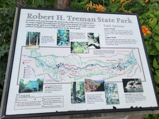 Robert H. Treman State Park by null