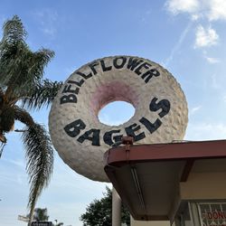 Bellflower Bagels & Java - 10/17/24 my all-time favorite bagel shop