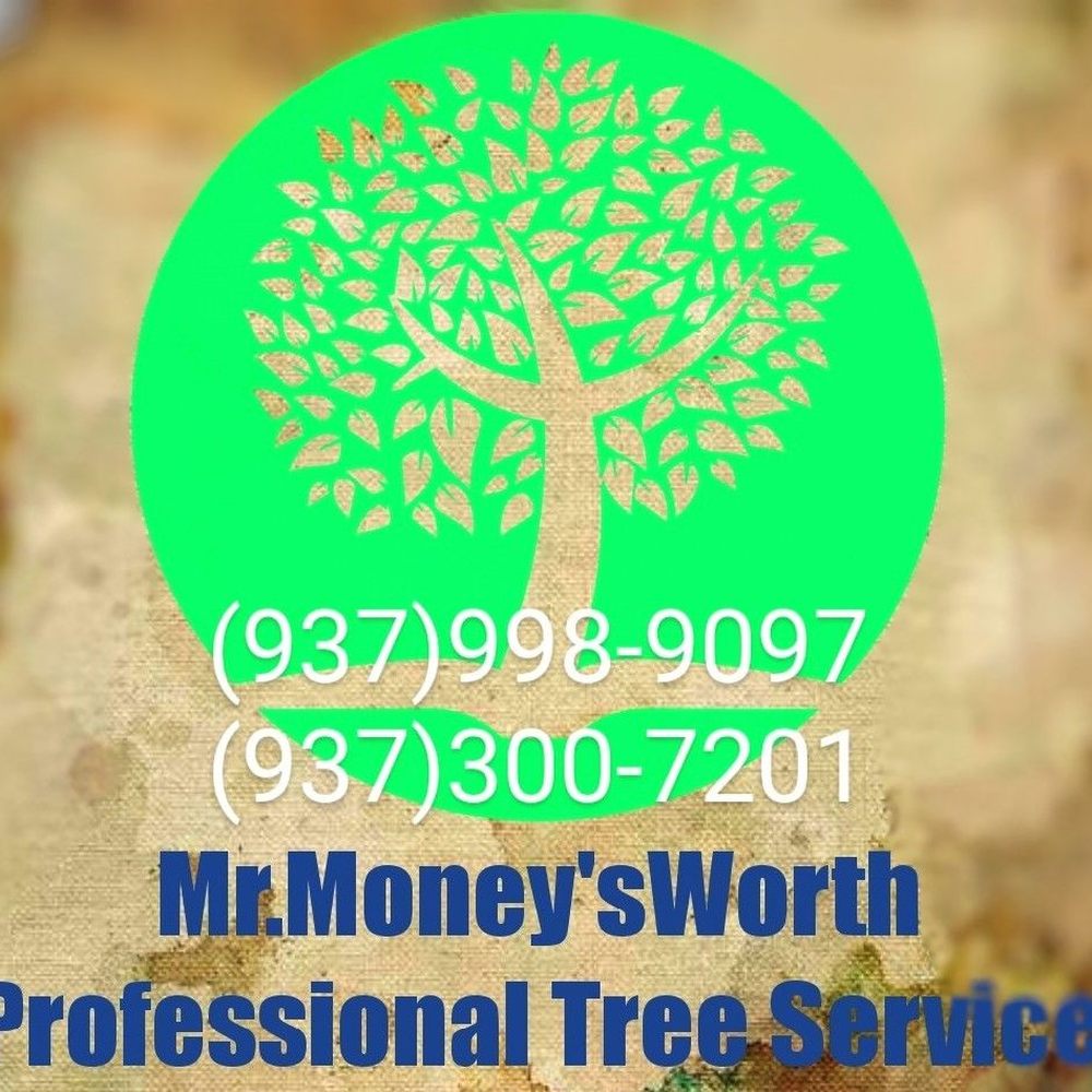 Tree Services - New# New office# added - Tree Services Near Me - Dayton, Ohio Tree Services - New# New office# added - Tree Services Near Me - Dayton, Ohio