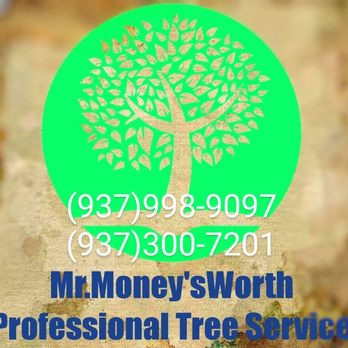 Tree Services - New# New office# added - Tree Services Near Me - Dayton, Ohio Tree Services - New# New office# added - Tree Services Near Me - Dayton, Ohio